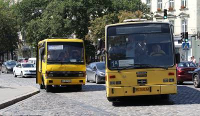 Отследить автобус невозможно: в общественном транспорте Львова не работают GPS-трекеры - 24tv.ua