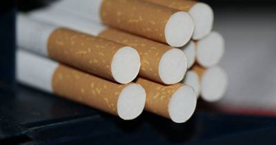 В России в следующем году может увеличиться доля нелегальных сигарет до 30%. - readovka.news - Россия