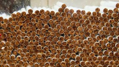 В России доля нелегальных сигарет может вырасти до 30% - iz.ru - Россия - Израиль