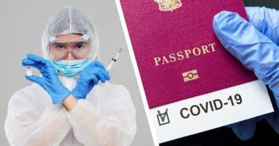 Мария Рейес Марото - Испания планирует внедрить электронные паспорта вакцинации к середине мая, - министр - focus.ua - Испания