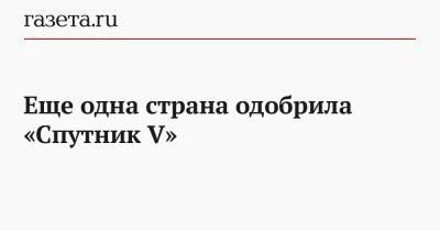 Еще одна страна одобрила «Спутник V» - gazeta.ru - Россия - Марокко - Иордания