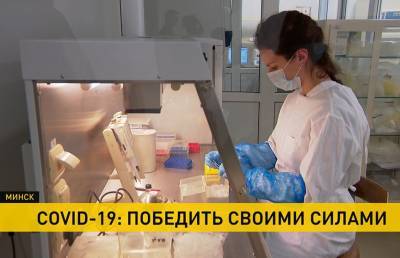 Победить COVID-19 своими силами: в белорусских лабораториях ежедневно проводят стони исследований - ont.by