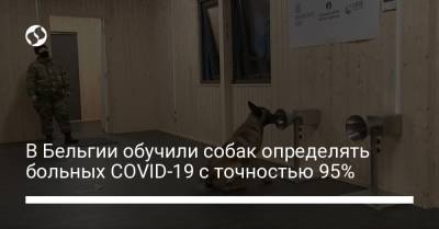 В Бельгии обучили собак определять больных COVID-19 с точностью 95% - liga.net - Украина - Бельгия