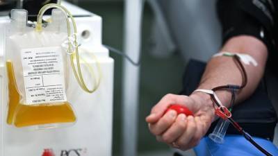 В Москве более 10 тыс. пациентов с COVID-19 получили плазму крови с антителами - iz.ru - Москва - Израиль