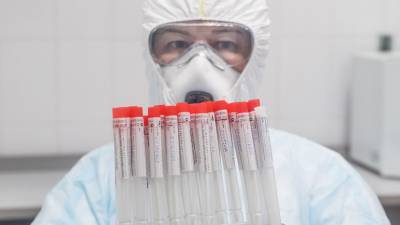 В России провели более 114 млн тестов на коронавирус - russian.rt.com - Россия