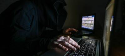 Полиция безопасности Финляндии: коронавирус активизировал кибершпионаж - stolicaonego.ru - Финляндия