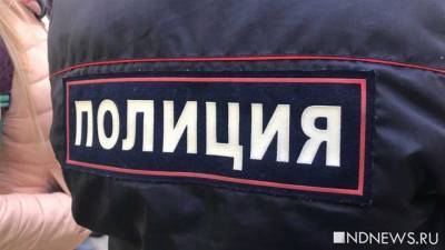 Пассажир рейса на Ямал напал на полицейского после задержания в тюменском аэропорту Рощино - newdaynews.ru - Тюмень