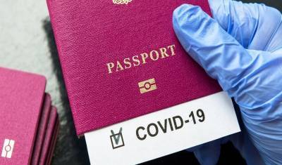 Введение ковид-паспортов может привести к дискриминации и мошенничеству - newizv.ru - Италия - Испания - Греция - Болгария - Мальта