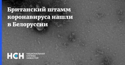 Британский штамм коронавируса нашли в Белоруссии - nsn.fm