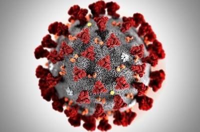 В Британии обнаружили новую разновидность коронавируса - pnp.ru - Россия - Англия