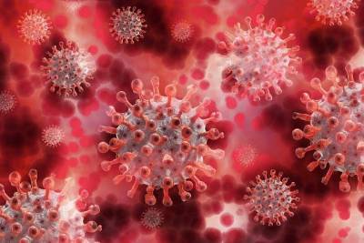 На юго-востоке Англии обнаружили новый вариант коронавируса - aif.ru - Англия