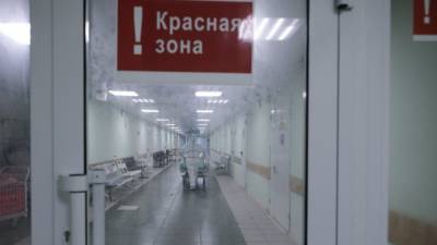 Коронавирус обнаружили еще у 9794 россиян - inforeactor.ru - Россия
