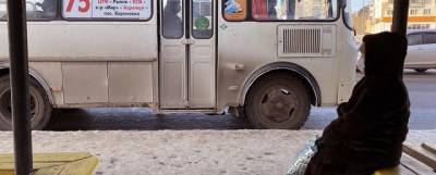 В Кургане вернули льготы на проезд в автобусах - runews24.ru - Курган