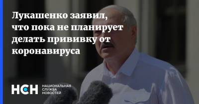 Александр Лукашенко - Лукашенко заявил, что пока не планирует делать прививку от коронавируса - nsn.fm - Молодечно