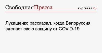 Александр Лукашенко - Лукашенко рассказал, когда Белоруссия сделает свою вакцину от СOVID-19 - svpressa.ru