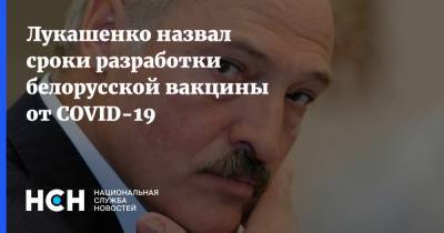 Александр Лукашенко - Лукашенко назвал сроки разработки белорусской вакцины от COVID-19 - nsn.fm