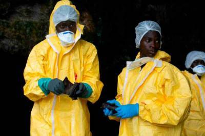 Майк Райан - В ВОЗ назвали причину новой вспышки вируса Эбола в Африке - news.bigmir.net - Конго - Гвинея