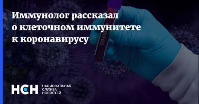 Николай Крючков - Иммунолог рассказал о клеточном иммунитете к коронавирусу - nsn.fm