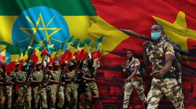 Сепаратисты Тиграя обвинили власти Эфиопии в нашествии саранчи и голоде - riafan.ru - Эфиопия - Аддис-Абеба