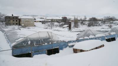 Снегопад нанес ущерб на десятки миллионов рублей тепличникам в Дагестане - riafan.ru - республика Дагестан - Махачкала