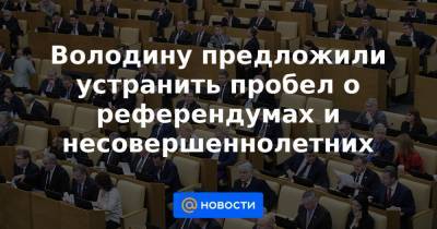 Володину предложили устранить пробел о референдумах и несовершеннолетних - news.mail.ru