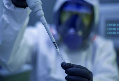 В России разработали тест, определяющий количество коронавируса - online47.ru - Россия