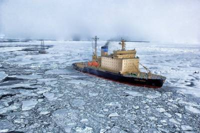 Застрявшие из-за COVID-19 в Антарктиде петербургские полярники возвращаются домой - neva.today - Санкт-Петербург - Антарктида