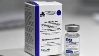В ЕС готовы к переговорам по закупке российской вакцины "Спутник V" – СМИ - m24.ru - Евросоюз
