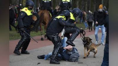Акция протеста в Гааге закончилась беспорядками. Людей разгоняли водометами и собаками - polit.info - Гаага