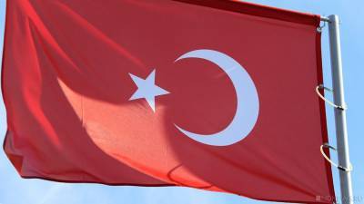 Въезд в Турцию потребует заполнения электронных анкет для въезда в страну - newdaynews.ru - Турция