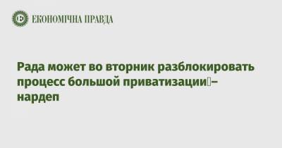 Роксолана Пидласа - Рада может во вторник разблокировать процесс большой приватизации – нардеп - epravda.com.ua - Украина
