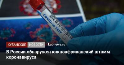 В России обнаружен южноафриканский штамм коронавируса - kubnews.ru - Россия