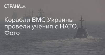Корабли ВМС Украины провели учения с НАТО. Фото - strana.ua - Киев - Болгария