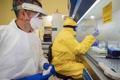 Во Франции обнаружили новый штамм коронавируса - tvc.ru - Франция - Ланьон
