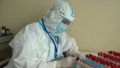 В России за сутки выявили 9 393 новых случаев коронавируса - 1tv.ru - Россия