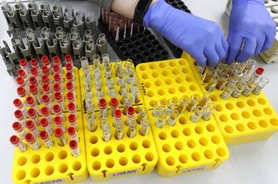 Более 200 новых случаев коронавируса выявлено в СКФО - etokavkaz.ru - Россия - Москва - Ставрополье край - округ Скфо