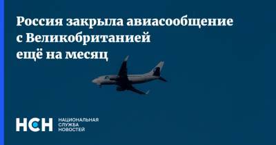 Россия закрыла авиасообщение с Великобританией ещё на месяц - nsn.fm - Россия - Англия