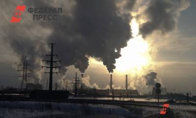Международный эксперт сравнила воздействие промышленности на человека с COVID-19 - fedpress.ru