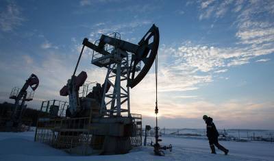 Добыча нефти в РФ сократилась на 8,6% в 2020-м - newizv.ru - Россия