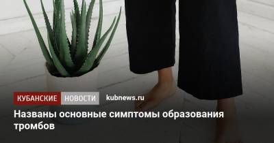Названы основные симптомы образования тромбов - kubnews.ru