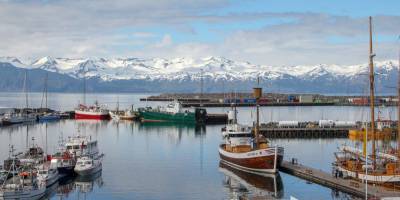 Без тестов и карантина. Исландия с 18 марта разрешит въезд в страну вакцинированным от COVID-19 туристам - nv.ua - Исландия