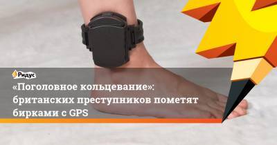 «Поголовное кольцевание»: британских преступников пометят бирками с GPS - ridus.ru - Англия