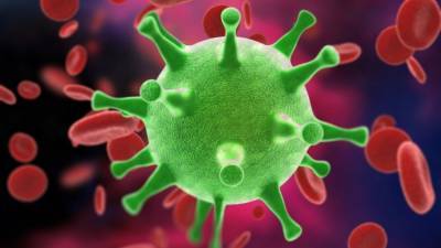 Пол Гилберт - Первый ребенок с антителами к коронавирусу появился на свет - 5-tv.ru - Сша - Usa - штат Флорида - Чад