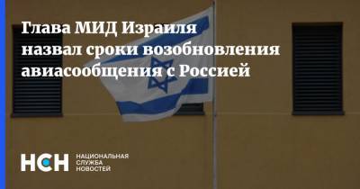 Габи Ашкенази - Глава МИД Израиля назвал сроки возобновления авиасообщения с Россией - nsn.fm - Россия - Москва - Израиль - Тель-Авив