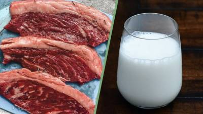Мясо и молоко крупного рогатого скота вызывает рак - 24tv.ua