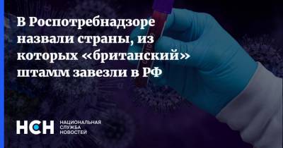 Анна Попова - В Роспотребнадзоре назвали страны, из которых «британский» штамм завезли в РФ - nsn.fm - Россия - Эмираты