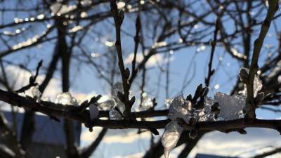 ООН: Метеорологические факторы не влияют на темпы передачи коронавируса - inforeactor.ru
