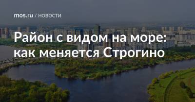 Район с видом на море: как меняется Строгино - mos.ru - Москва