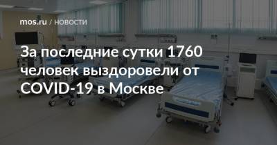За последние сутки 1760 человек выздоровели от COVID-19 в Москве - mos.ru - Москва