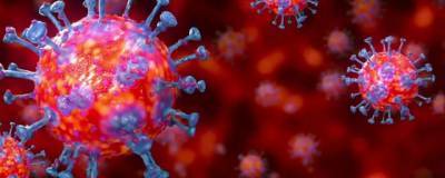 В Ставропольском крае обнаружены еще 125 заразившихся коронавирусом - runews24.ru - Ставрополье край - Кисловодск - Пятигорск - Невинномысск